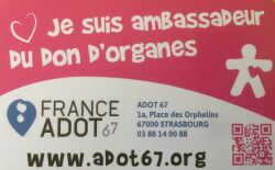 IMG_3083 - Copie.JPG